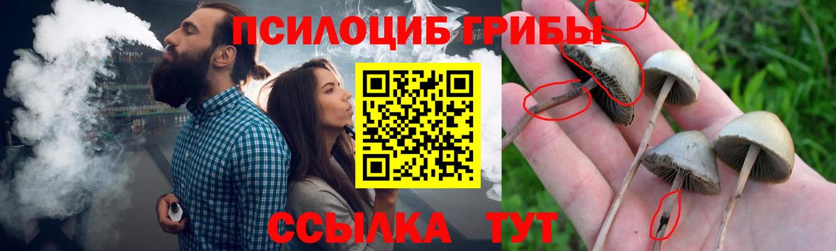 Псилоцибиновые грибы мицелий  Вход с VPN  Лыткарино 